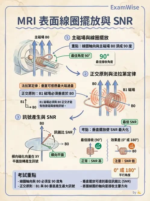 放射 - 射頻系統與線圈 - AI 圖文解析預覽