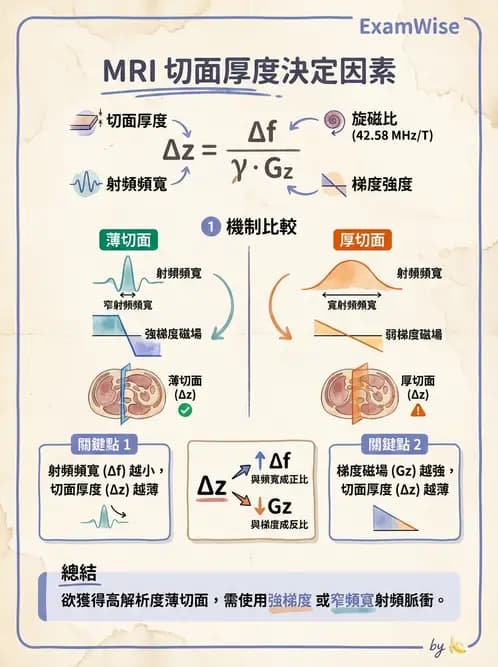 放射 - 梯度線圈與空間編碼 - AI 圖文解析預覽