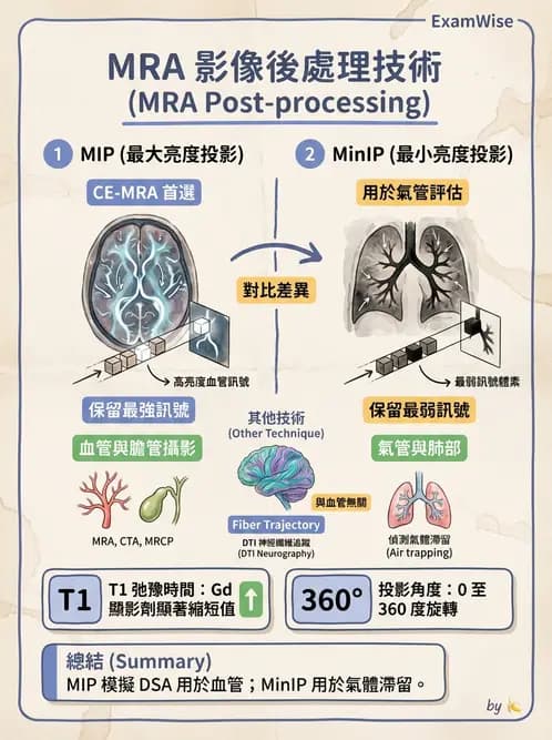 放射 - MR進階影像與臨床應用 - AI 圖文解析預覽
