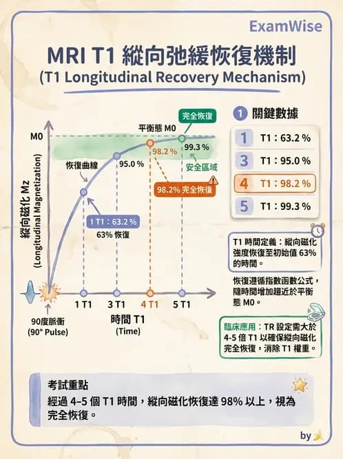 放射 - 磁振造影原理 - AI 圖文解析預覽