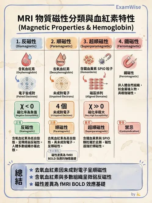 放射 - 磁振造影原理 - AI 圖文解析預覽