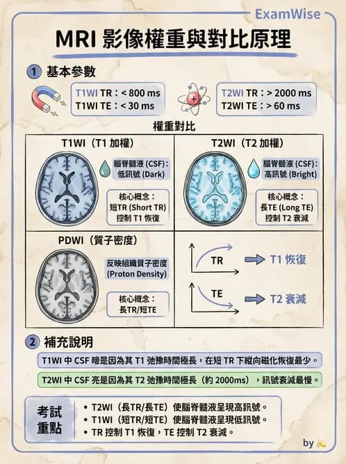 放射 - MRI脈衝序列與訊號技術 - AI 圖文解析預覽
