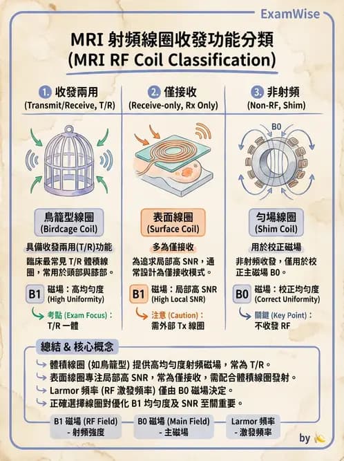 放射 - MRI系統硬體 - AI 圖文解析預覽