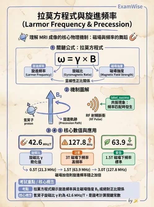 放射 - 磁振造影原理 - AI 圖文解析預覽