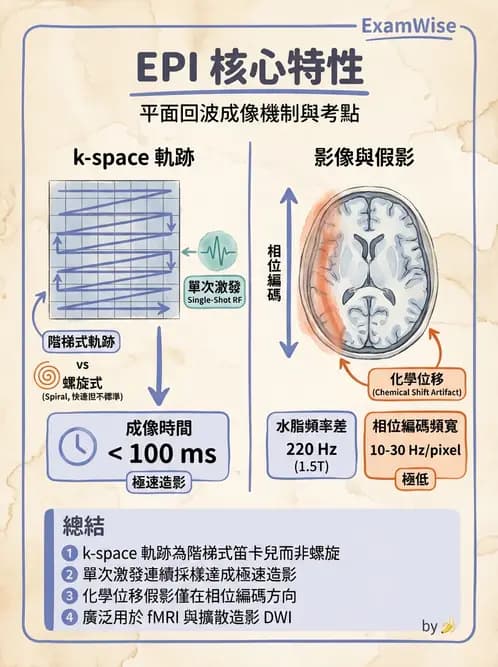 放射 - MRI脈衝序列與訊號技術 - AI 圖文解析預覽