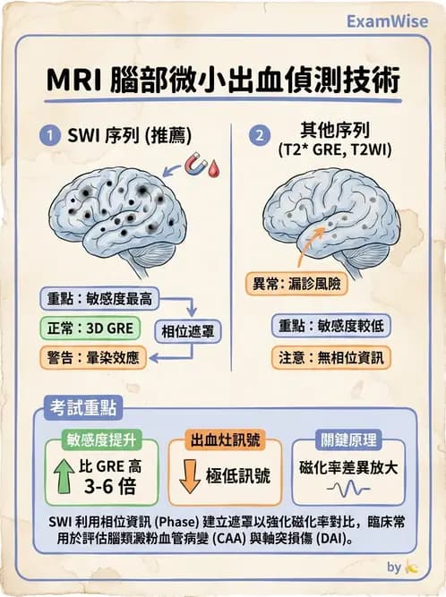 放射 - MR進階影像與臨床應用 - AI 圖文解析預覽