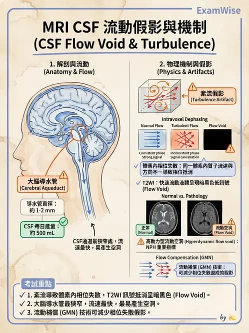 放射 - 磁振影像品質與參數 - AI 圖文解析預覽