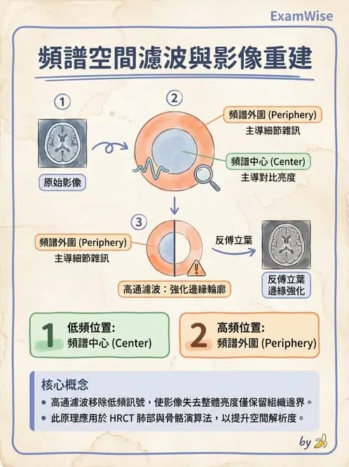 放射 - 數位影像原理與處理技術 - AI 圖文解析預覽