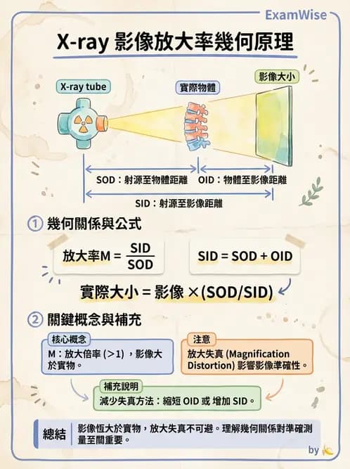 放射 - X光交互作用與影像品質 - AI 圖文解析預覽