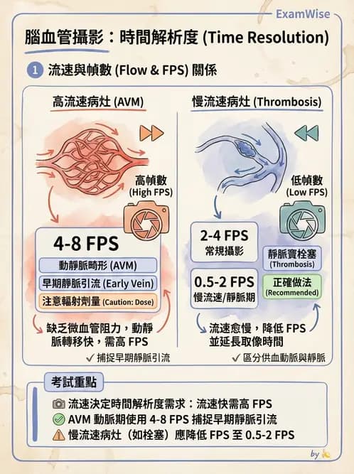 放射 - 血管攝影原理與解剖 - AI 圖文解析預覽
