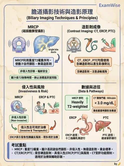 放射 - 乳房攝影與其他特殊檢查 - AI 圖文解析預覽