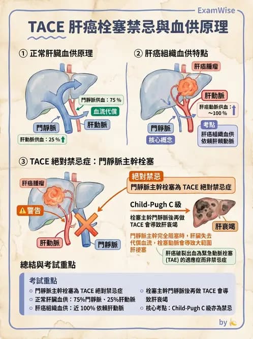 放射 - 導管技術與介入性治療 - AI 圖文解析預覽
