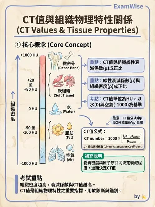 放射 - CT物理原理與掃描技術 - AI 圖文解析預覽