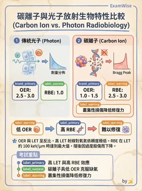 放射 - 質子與粒子治療 - AI 圖文解析預覽