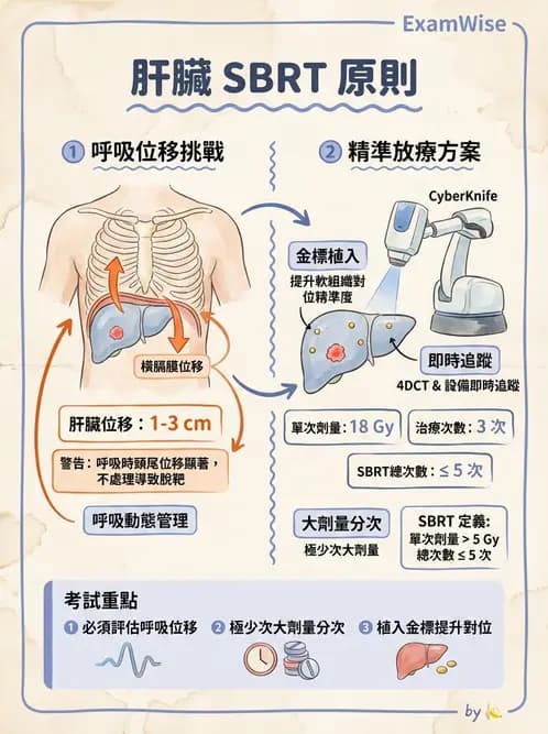 放射 - 立體定位軀體放射治療(SBRT) - AI 圖文解析預覽