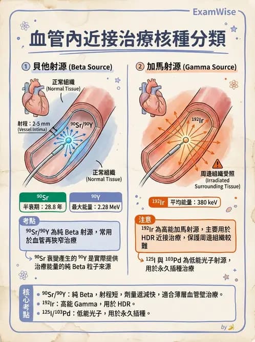放射 - 血管內近接治療 - AI 圖文解析預覽