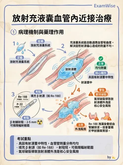 放射 - 血管內近接治療 - AI 圖文解析預覽