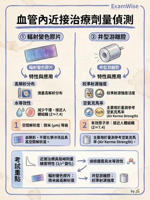 放射 - 血管內近接治療 - AI 圖文解析預覽