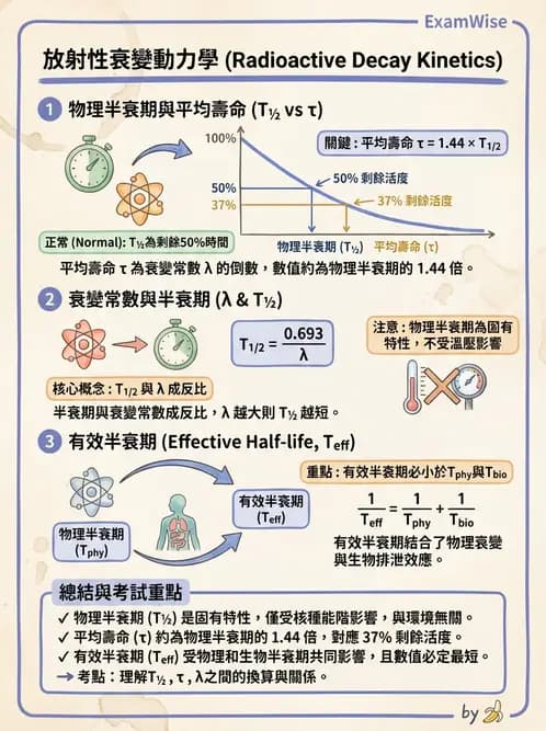 放射 - 腔內近接治療 - AI 圖文解析預覽