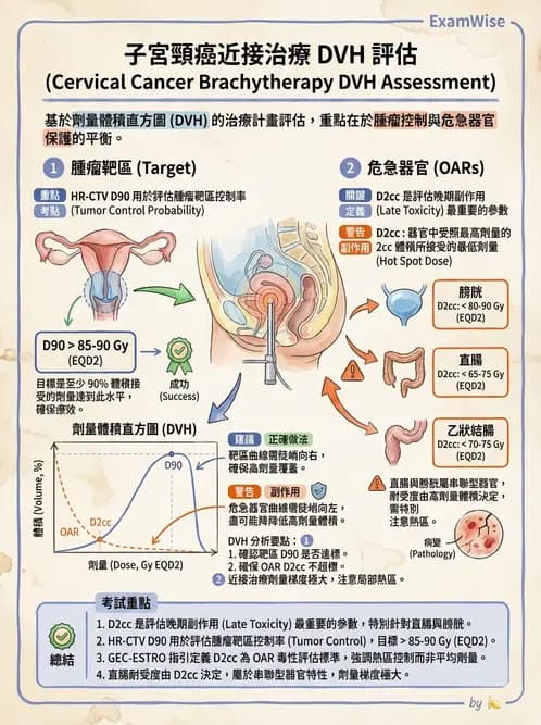 放射 - 近接放射治療臨床計畫與應用 - AI 圖文解析預覽