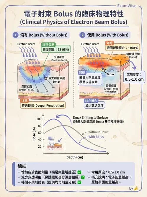 放射 - 電子射束臨床技術與應用 - AI 圖文解析預覽