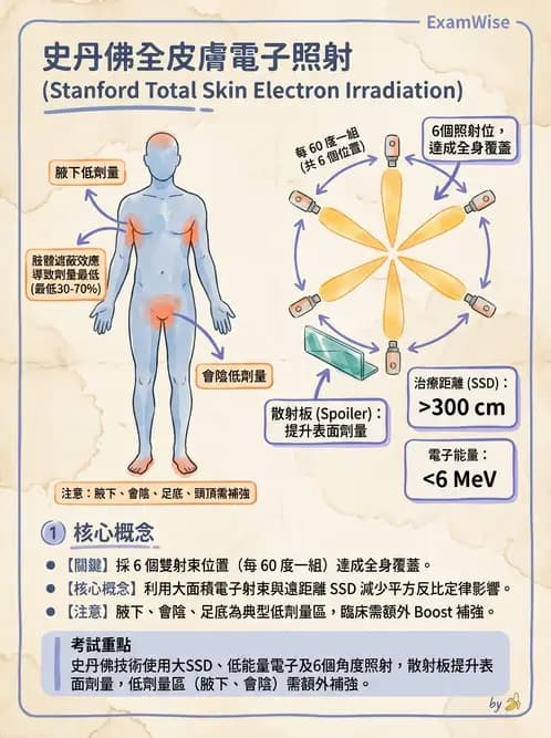 放射 - 全身放射治療技術(TBI/TSET) - AI 圖文解析預覽
