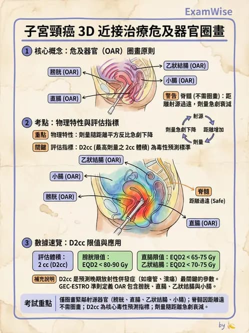 放射 - 近接放射治療臨床計畫與應用 - AI 圖文解析預覽
