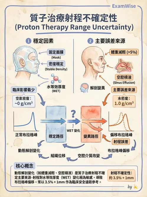 放射 - 質子與粒子治療 - AI 圖文解析預覽