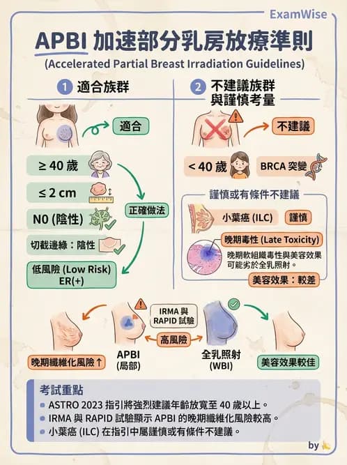 放射 - 疾病部位計畫與危急器官保護 - AI 圖文解析預覽