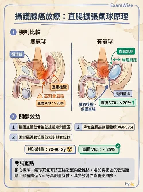 放射 - 疾病部位計畫與危急器官保護 - AI 圖文解析預覽