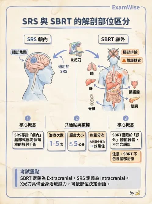 放射 - 立體定位軀體放射治療(SBRT) - AI 圖文解析預覽