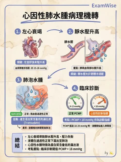 放射 - 心血管生理 - AI 圖文解析預覽