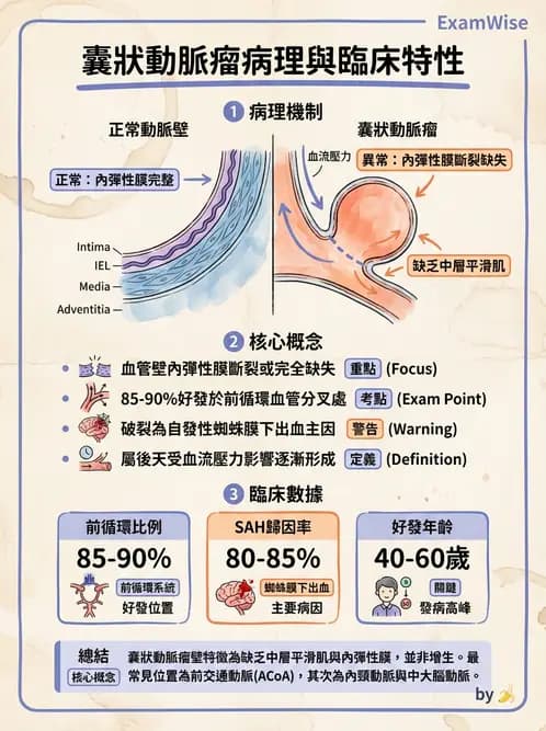 放射 - 心臟及血管疾病 - AI 圖文解析預覽