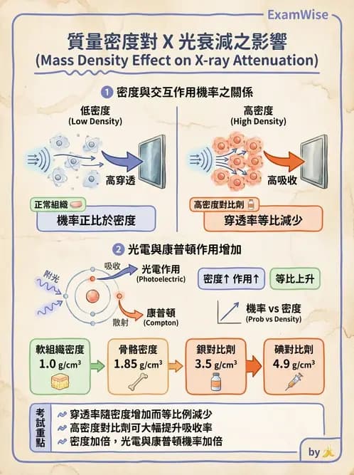 放射 - 光子作用機制 - AI 圖文解析預覽