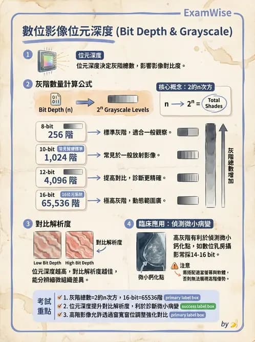 放射 - 影像接受器與乳房攝影 - AI 圖文解析預覽