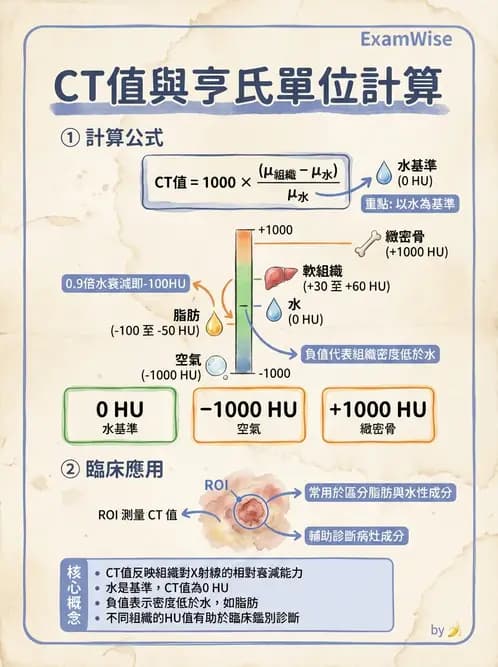 放射 - 透視與數位影像 - AI 圖文解析預覽