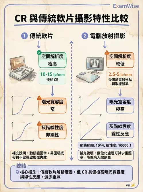 放射 - 透視與數位影像 - AI 圖文解析預覽