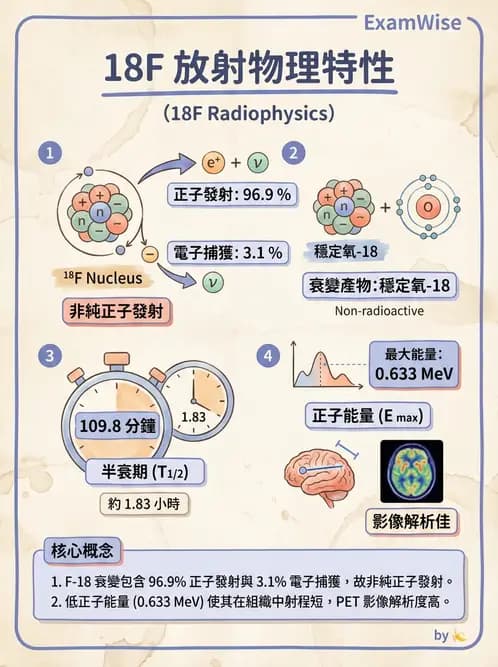 放射 - 核子醫學物理 - AI 圖文解析預覽