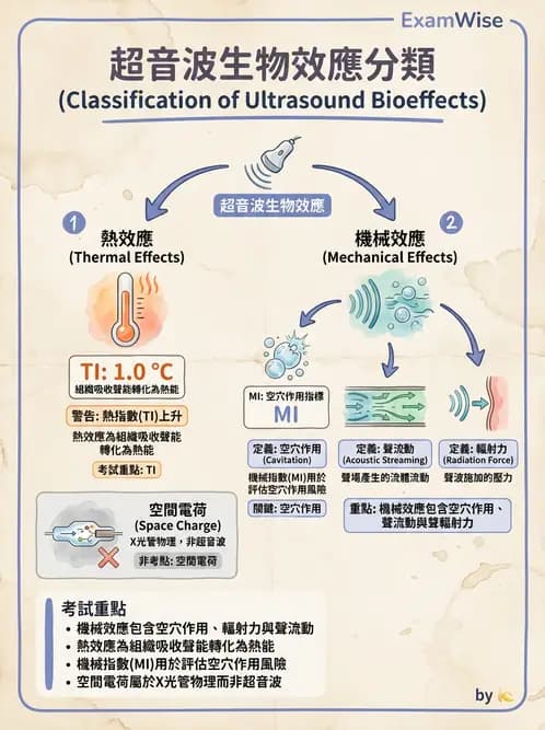 放射 - 超音波物理與換能器 - AI 圖文解析預覽
