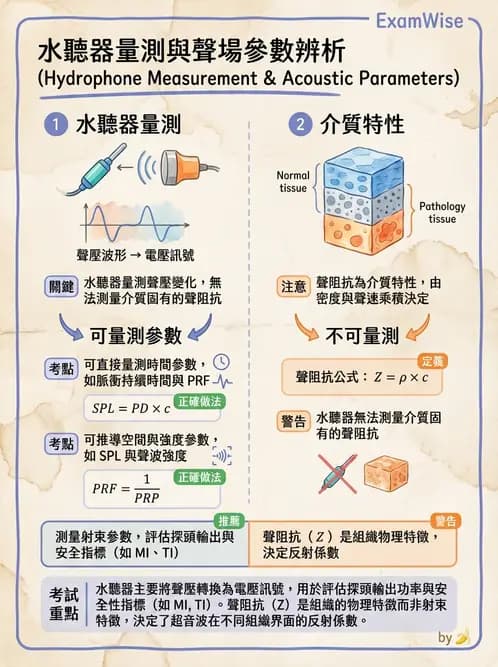 放射 - 超音波物理與換能器 - AI 圖文解析預覽