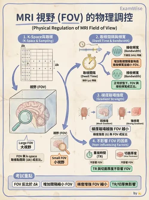 放射 - 空間編碼與影像品質 - AI 圖文解析預覽