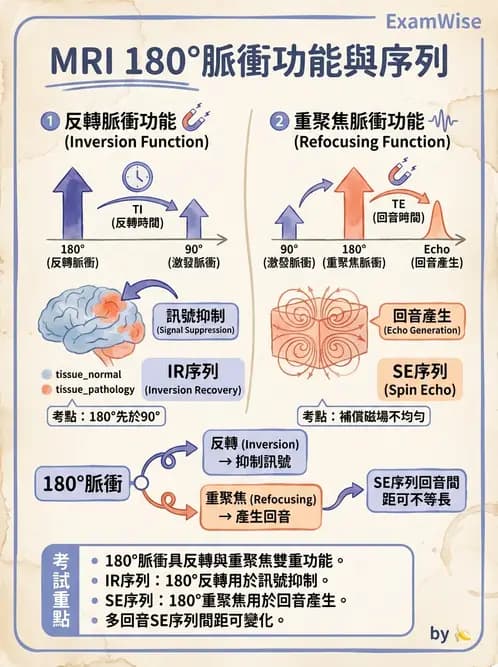 放射 - 脈衝序列與影像對比 - AI 圖文解析預覽