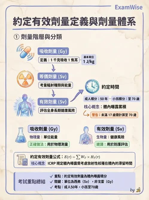 放射 - 體內劑量 - AI 圖文解析預覽