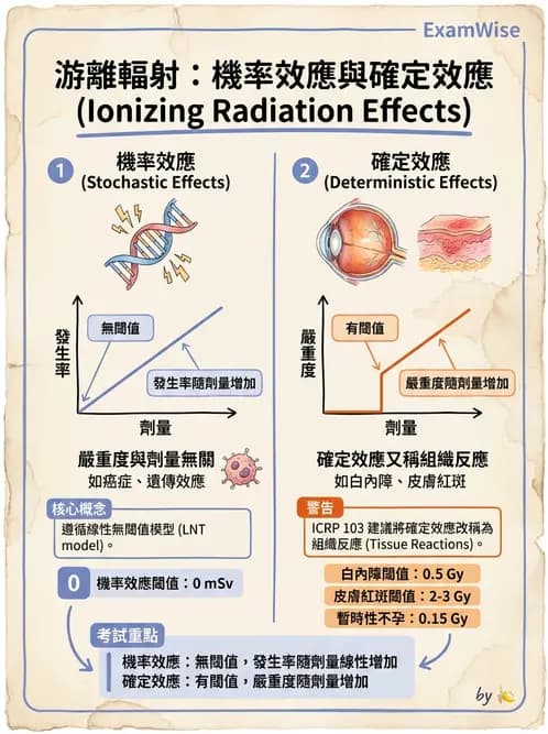 放射 - 全身性輻射效應 - AI 圖文解析預覽