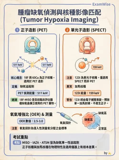 放射 - 輻射物理生物基礎 - AI 圖文解析預覽