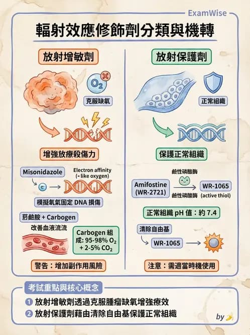 放射 - 輻射物理生物基礎 - AI 圖文解析預覽
