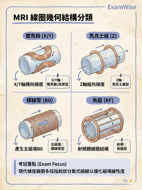 放射 - 射頻系統與線圈 - AI 圖文解析預覽