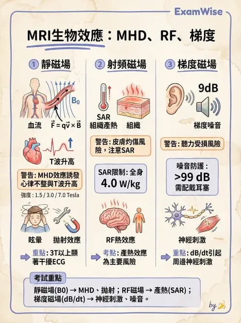 放射 - 品質管制與安全規範 - AI 圖文解析預覽
