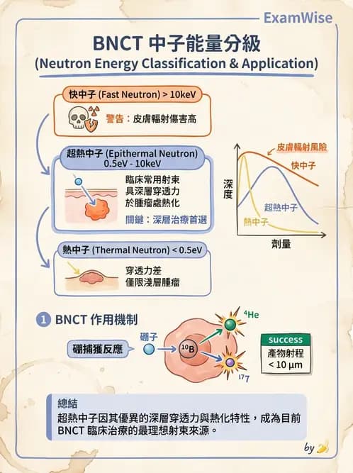 放射 - 質子及中子治療機 - AI 圖文解析預覽
