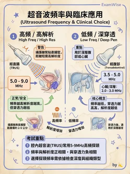 放射 - 近接治療機 - AI 圖文解析預覽